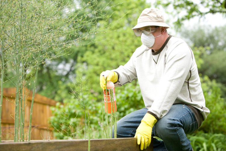 4 Ways You Can Benefit By Hiring Pest Control Services